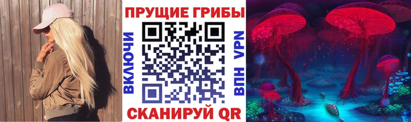Галлюциногенные грибы ЛСД  купить  сайты  МЕГА рабочий сайт  Таганрог 